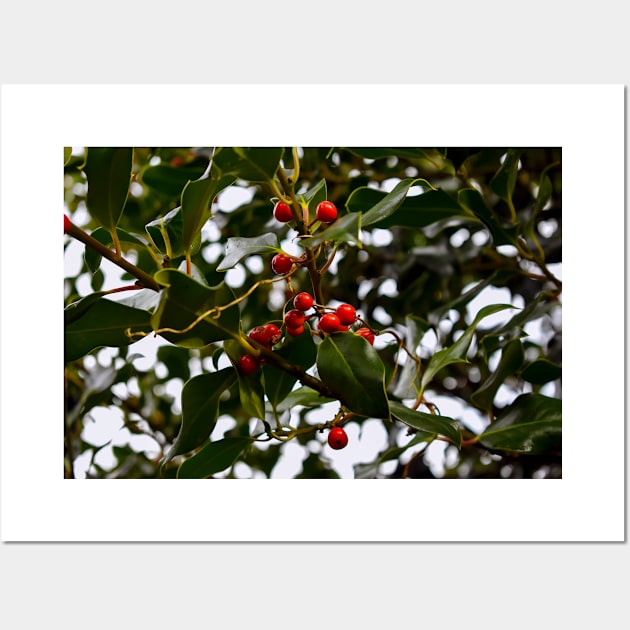 Holly Branch with Red Seeds Wall Art by mavicfe